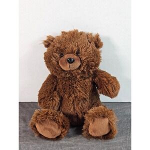 GANZ Sentiments Brown‎ Bear 10" Plush H14625